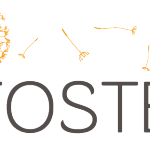 Iniciativas FOSTER Plus em 2017